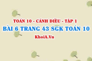 Bài 6 trang 43 SGK Toán 10 tập 1 Cánh Diều
